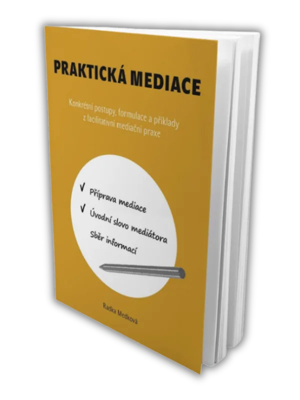 Praktická mediace